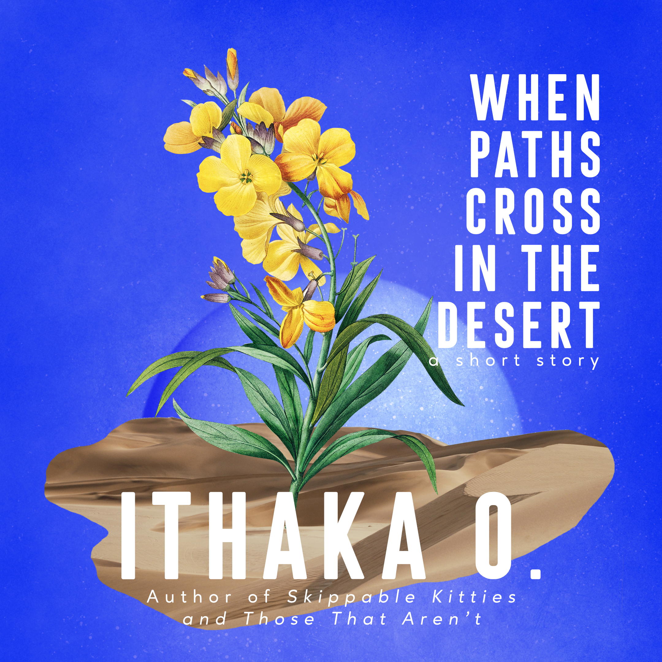 When Paths Cross In the Desert